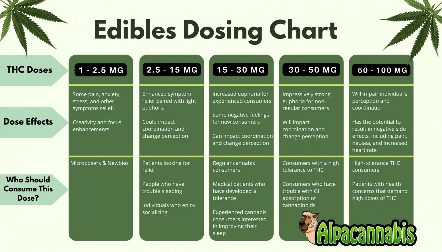 Edibles Dosing Chart: How Strong Is Too Strong? For Proper Infused ...